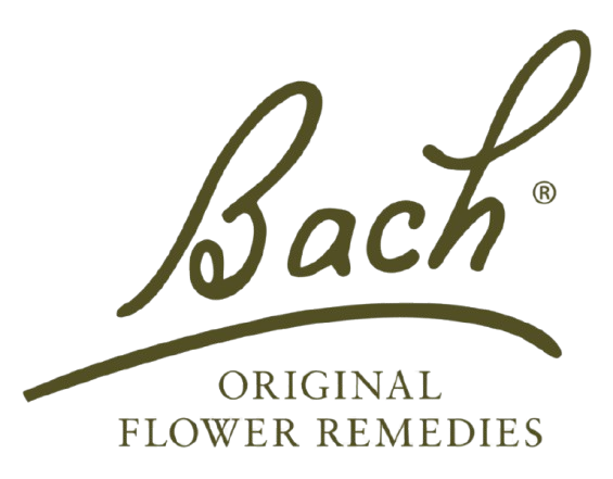 bach